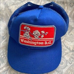 Blue Bartbridge Washington D.C. Cap
